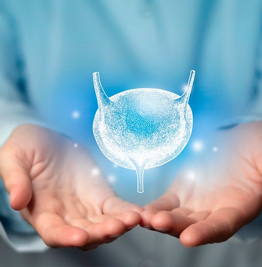 Doctor holding a holographic image of the urinary system.