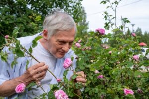 Sensory activities for late stage dementia