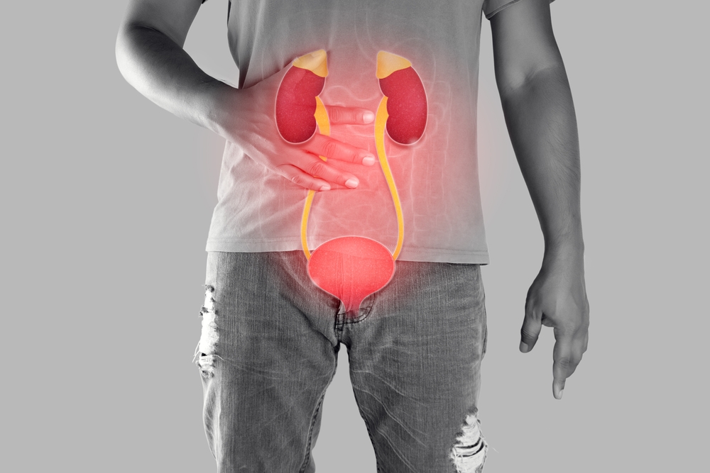 Illustration representing anuria, showing the urinary system and warning signs of little to no urine output related to kidney and urological health.