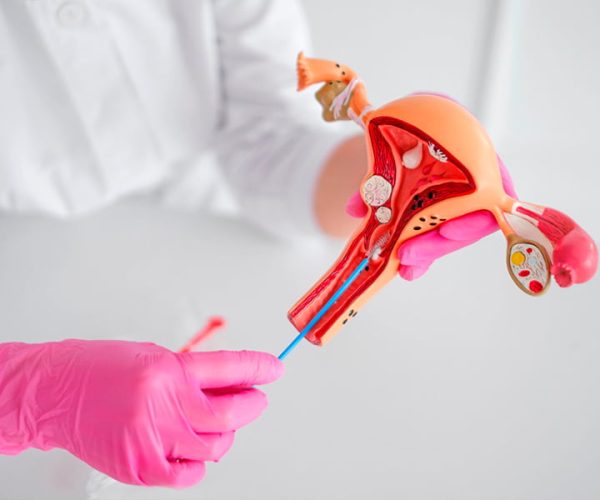 Uterine-Biopsy